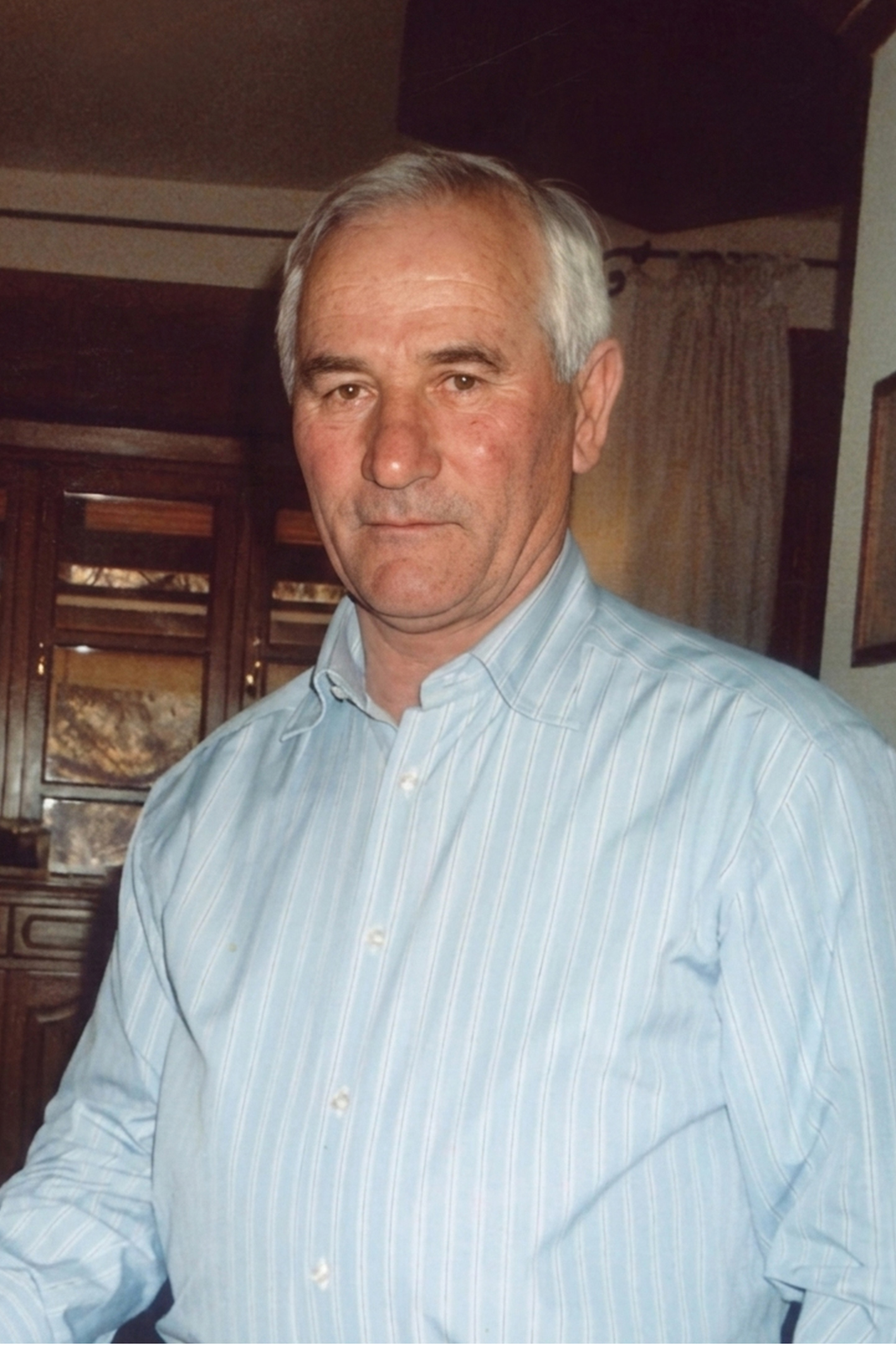 PETRUCCIOLI